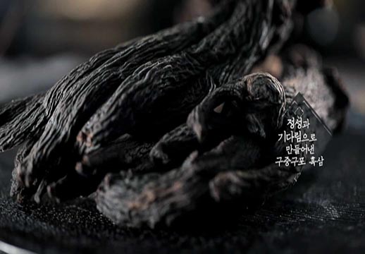 Produttore di ginseng nero