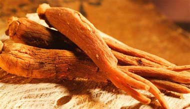 Koreai Red Ginseng gyártó